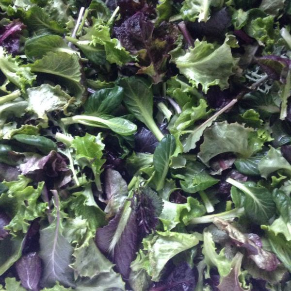 Salad, Spring Mix  -- 6oz bag -- Mad Farmers' Garden
