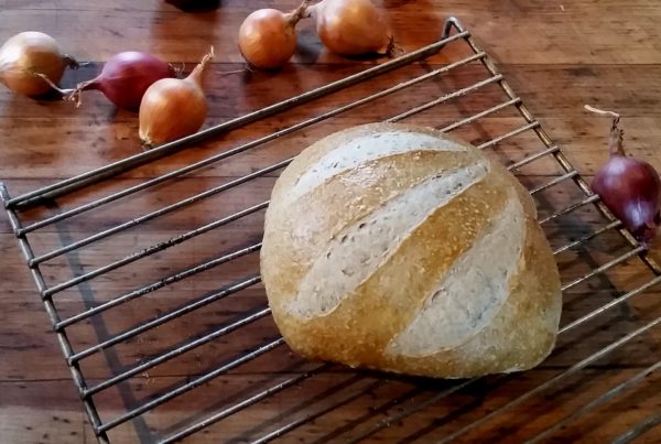 Bread, Rye Sourdough with Caramelized Onions -- 1 loaf -- the Mad Farmers' Garden