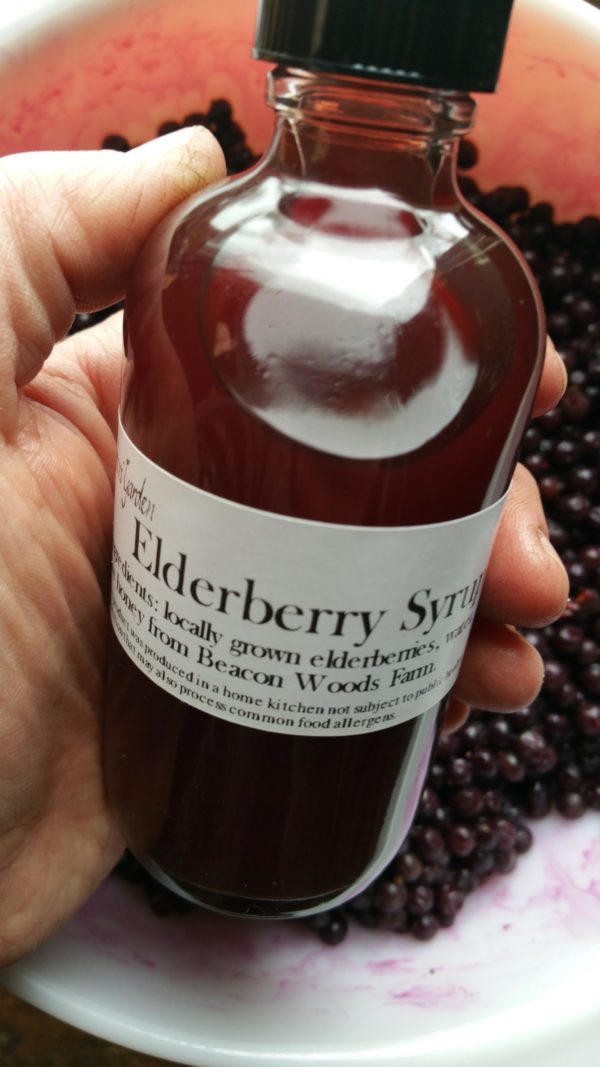 Elderberry Syrup -- 4oz --The Mad Farmer's Garden