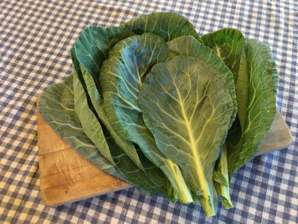 Collards - 1 Bunch - Mad Farmers Garden