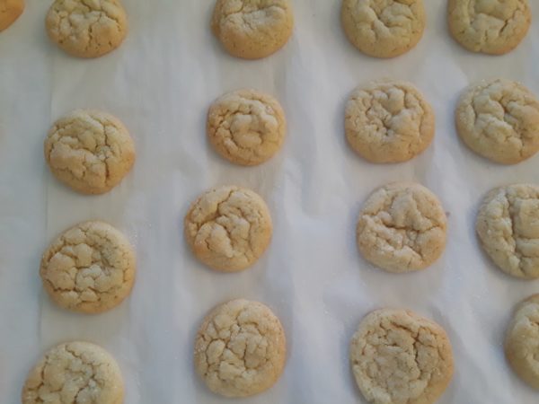 Cookies, Sugar - 1 dozen - Old Paths Farm
