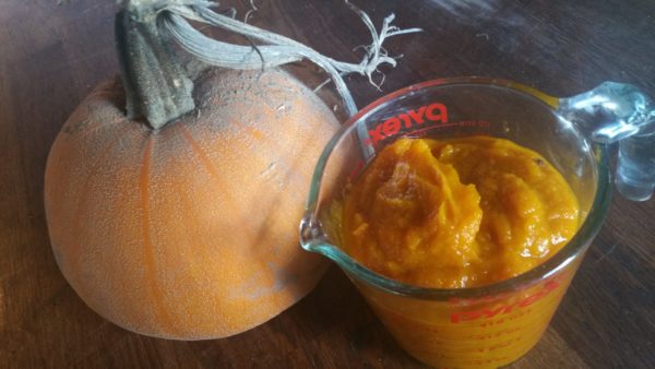 Pumpkin puree, frozen -- 2 cups -- the Mad Farmers' Garden
