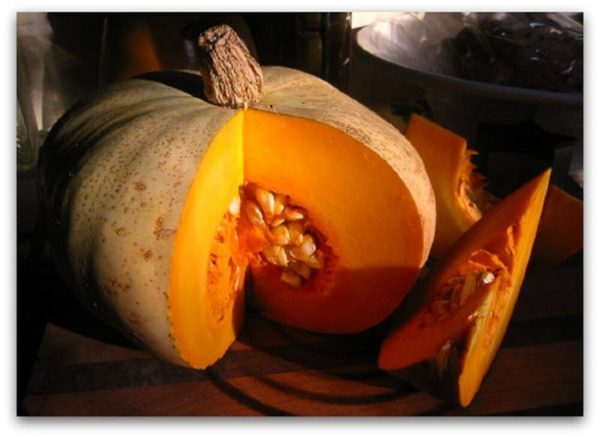 Winter Squash, blue kabocha -- one -- The Mad Farmers' Garden