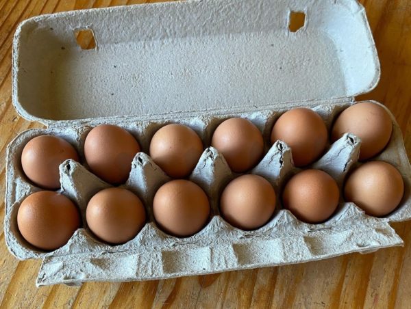 Farm Fresh Eggs, Free Range - Dozen - Never Dun Growin Co