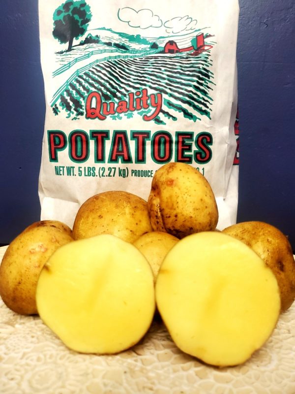Potatoes, Yukon Gold Potatoes - 5 lbs - Lathe & Lambsquarters
