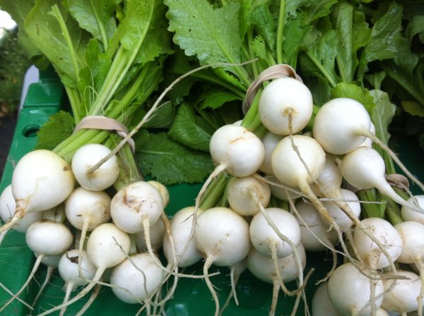 Turnips, hakurei - bunch - the Mad Farmers Garden